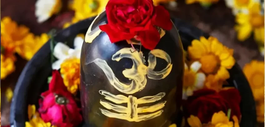 महाशिवरात्रि 2023: महाशिवरात्रि पर इन फूलों से करें भगवान शिव की पूजा, मिलेगा मनचाहा वरदान और हर कार्य में सफलता